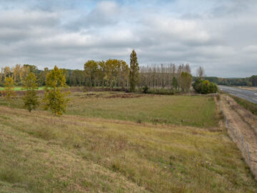 Zone paysagère à proximité du futur demi-échangeur de Coteaux-sur-Loire